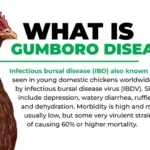 Gumboro