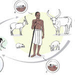Trypanosomosis