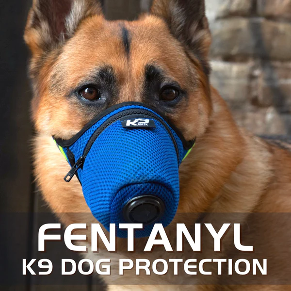 Fentanyl-for-Dogs